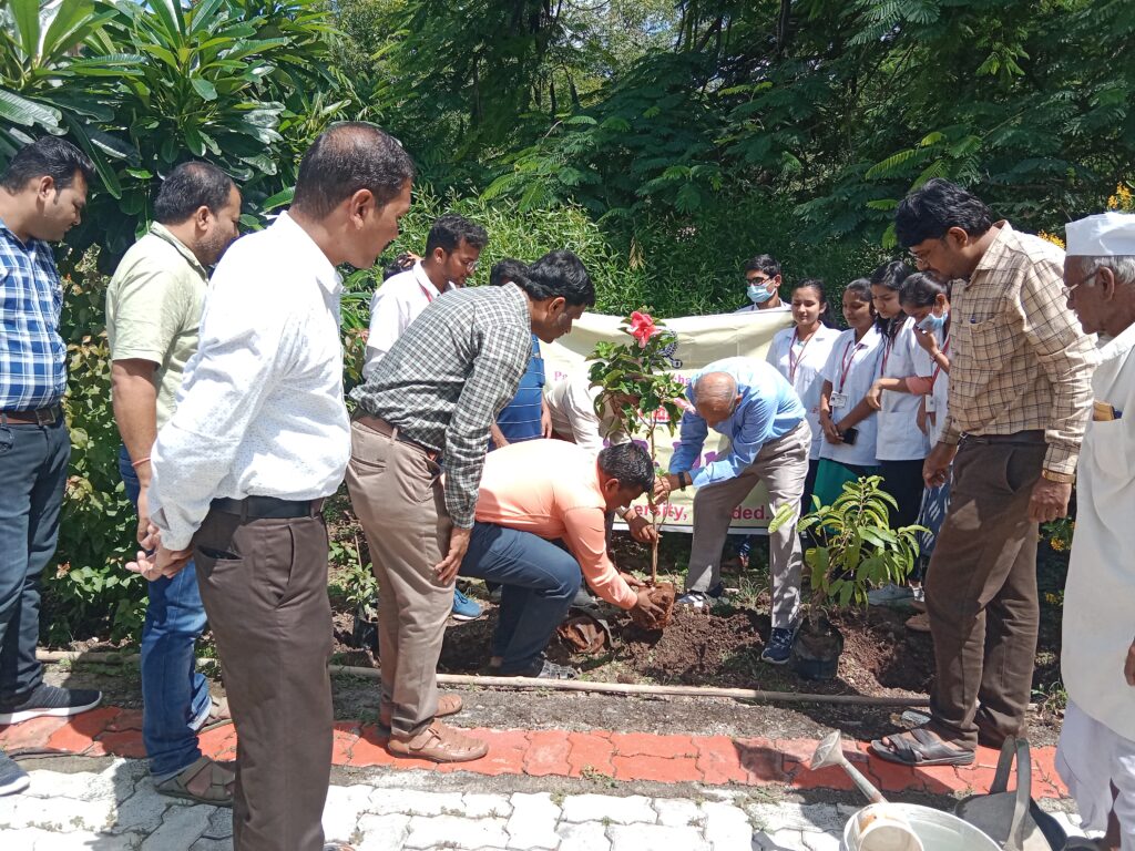 Tree Plantation Drive