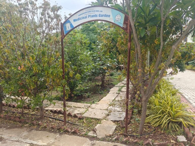 WhatsApp Image 2026-08-05 at 3.14.13 PM